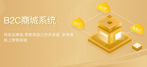 企业开发b2c商城系统的价格要多少